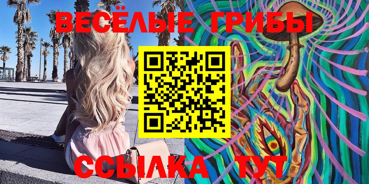 Псилоцибиновые грибы мицелий  Вход с VPN  Кудымкар 
